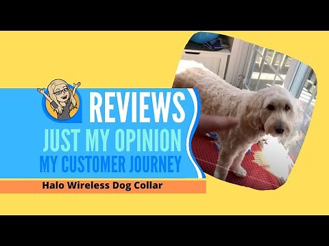 HOW TO Train your dog for the Halo Dog Collar a GPS Wireless fence