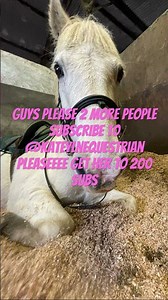 ‪@Katelynequestrian‬