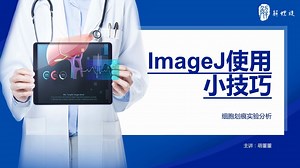 ImageJ：细胞划痕实验分析