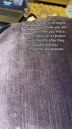 Coping with Pet Loss: Understanding Grief and Healing