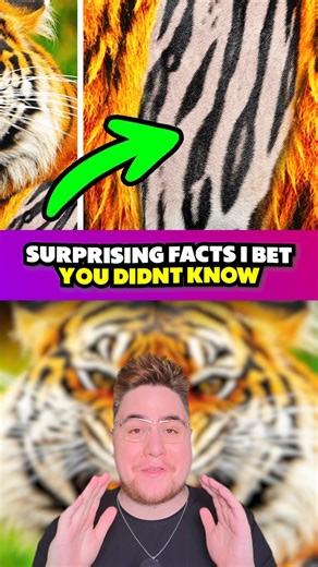 22K views · 1.6K reactions | Surprising Facts I Bet You Didn’t Know #facts | Davis Facts | Facebook