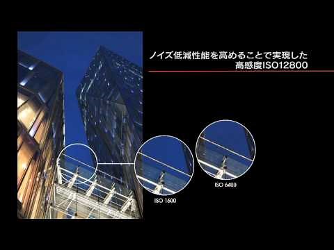 DSLR-A550 "α550"
