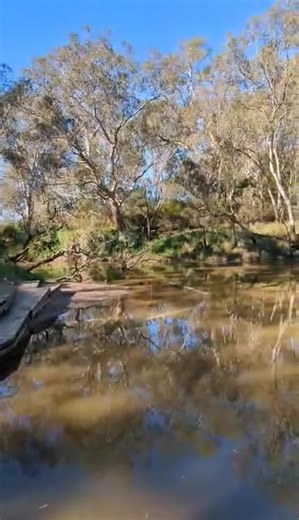 Crawford/Glenelg River junction at Dartmoor.I could see the difference in water colour between the two, but it doesn't quite show on the video. Taken Saturday 17th October 2025 by Chris Salter | Victorian Creeks and Rivers; Friends of Deep Creek