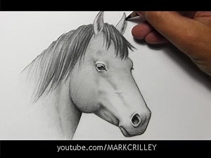 Drawing Time Lapse: Horse