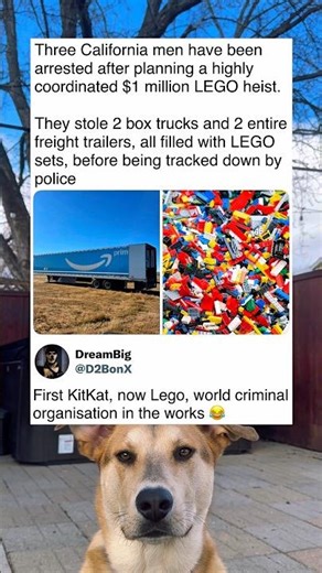 $1 Million LEGO Heist Gets Busted in California 😳