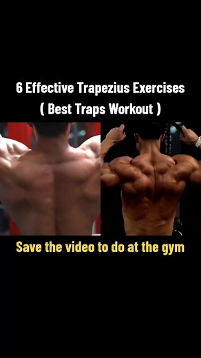 Effective Trapezius Exercises: Best Traps Workout