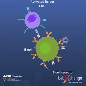 26 reactions | Improve your science knowledge with 21,000 free learning resources in 15 languages. | LabXchange | Facebook