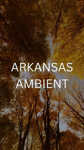 Soothing Forest Canopy Ambience for Relaxation and Mindfulness #ambientnature