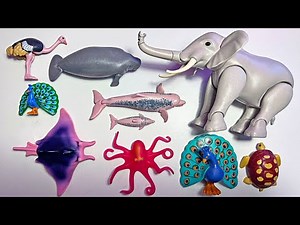 Playmobil Animals Collection - Elephant, Manta Ray, Ostrich, Seal, Octopus, Peacock, Sea Turtle, Pig
