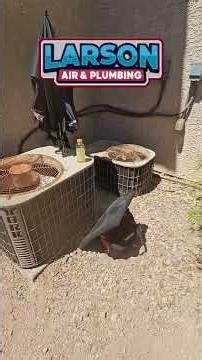 AC Condenser Fan Motor Replacement | Why a Bent Fan Blade Can Shake Your Entire Air Conditioner