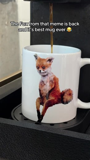 Can’t believe someone made mug with this meme 😁 #tiktak #tiktokmademebuyit #tiktokfinds #fox #fyp
