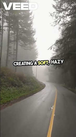 "Fog vs. Mist: What's the Real Difference?"