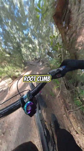 can i get through this expert trail on my old bike? -markham mtb