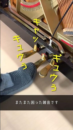 カワイ音楽学園｜ピアノ調律師の学校