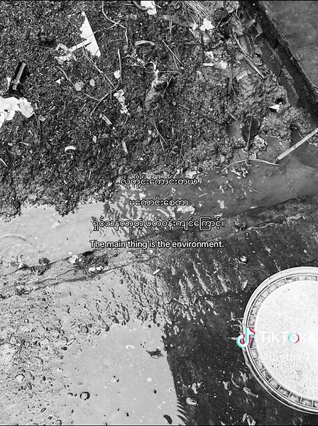 Tay ོ သည် TikTok ပေါ်တွင် ရှိသည်