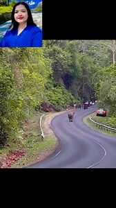 Stop open defecation #SaveEnvironmentForFuture #cleanenvironmentforahealthylife #explore #highlighteveryonefollowers2025 @highlight | Malati Sharma