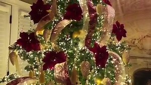 Now that’s a beautiful sight to come home to ❤️ | Lisa Robertson