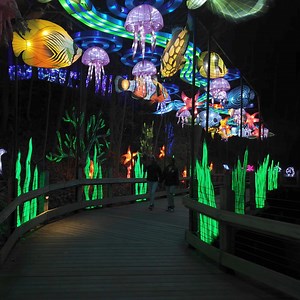 1.3M views · 6.5K reactions | ✨ Experience this all-NEW event.  Explore 9 acres of giant animal lanterns and enjoy extended Aquarium hours on select nights. | The Living Planet Aquarium | Facebook