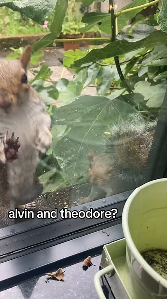 Fun Facts About Alvin and Theodore from Alvin and the Chipmunks