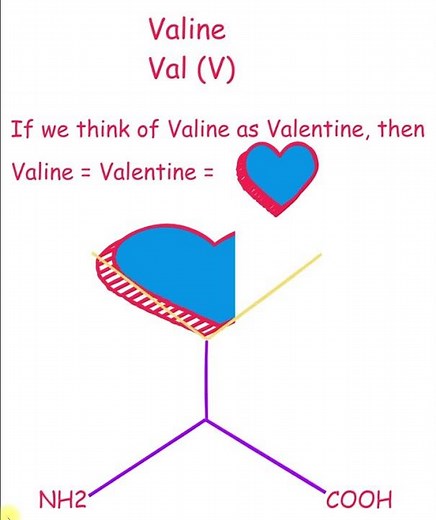 How to Draw Valine in Seconds as Valentine! Romantic Mnemonic #aminoacids #valentine #education