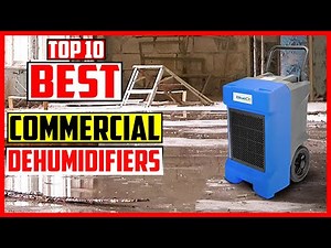Top 10 Best Commercial Dehumidifiers Reviews in 2025