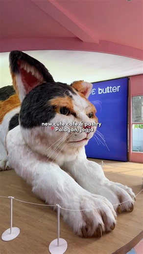 Blue Butter Jogja: Cafe & Pastry lucu dengan kucing raksasa