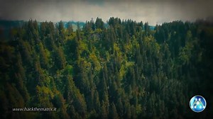 23K views · 200 reactions | Il diario di Byrd e la Terra Cava | Hack the Matrix Genesis | Facebook