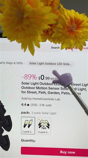Illuminate Your Outdoors with Solar Lights