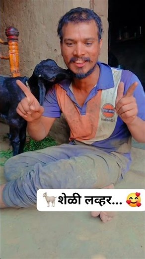 शेळी पालन..... 🐐🐐🐐 #shortvideo #मराठी #shorts #शेळीपालन #शेळी #शेळीपालनव्यवसाय #कामगार