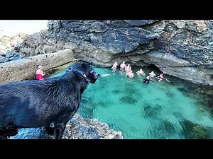Tidal Mermaid Pool: A Natural Wonder Unveiled
