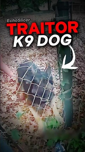 When a Police K9 Turns On His Own Handler