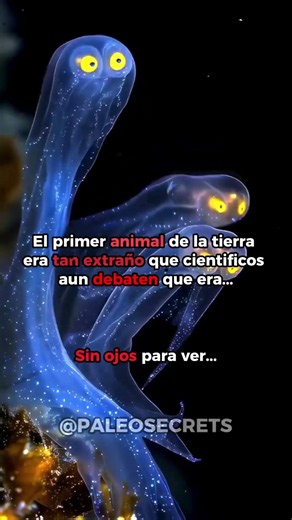 🦠 ¿Este fue el PRIMER ANIMAL de la Tierra? 😱 | Dickinsonia