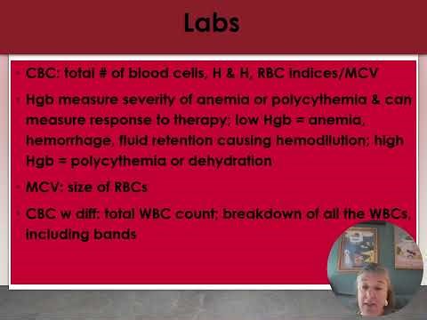 Module 3 HEME recorded lecture SPRING 2026