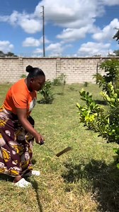 43K views · 2.9K reactions | #hapiness306 #zambiantiktok #beta1 #nshima #dance #dancechallenge Betta1 | Hapi Neßß | Facebook