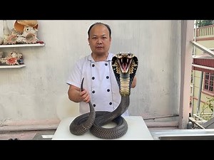 best snake meat recipe // gun chef