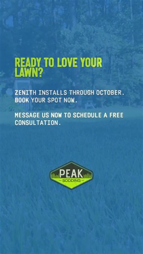 Zenith Zoysia Grass Review | The Durable Low Maintenance Lawn Most People Miss