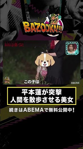 人間を散歩させる美女に平本蓮がアポ無しインタビュー #shorts