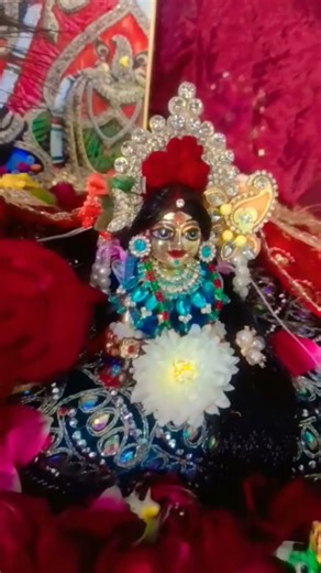 Radha rani darshan 🪻💐🌺