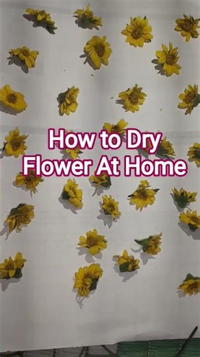 How to Dry Flower At Home 🏡🏡🏡 #dryflower #resin #resincraft