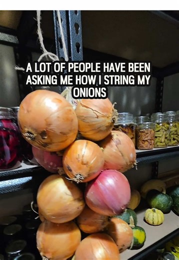 Stringing onions made simple 🧅 #onions #gardening #growyourownfood #homesteadlife #foodpreservation