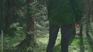 Young woman enjoys stying barefoot on a mossy fallen tree in the forest.