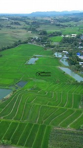 31K views · 430 reactions | Namnama, Alfonso Lista, Ifugao | Torogi vlog | Facebook