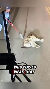 126K views · 4.9K reactions | The kind couple rescued an injured puma and then this happened #rescue #puma | Millions Moments | Facebook