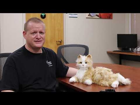 Joy for All Robotic Cat