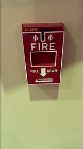 Rare Pyrotronics Pull Station