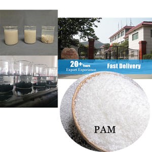 [Hot Item] Water Treatment Zwitterionic Cationic Flocculant Anionic Polyacrylamide PAM