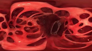 2.7K views · 50 reactions | Journey inside the heart.  | Medical information | Facebook