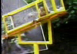 Squirrel Daylight Robbery I