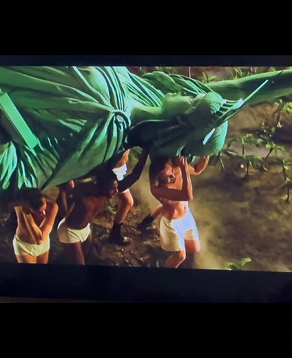 Please go watch Across The Universe. It’s beautiful. (Fully prepared for this video to get muted, but the actual song I was trying to show isn’t available, so 🤷‍♀️)