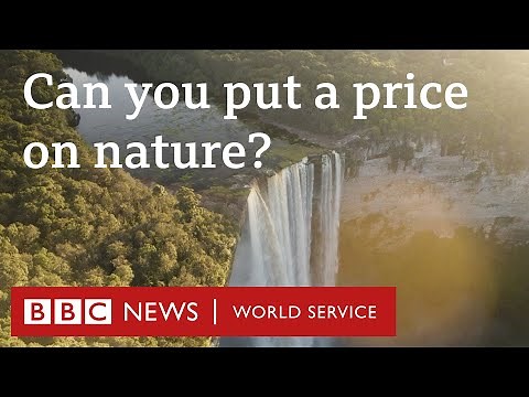 Can putting a price on nature help us care about it more? - The Climate Question, BBC World Service
